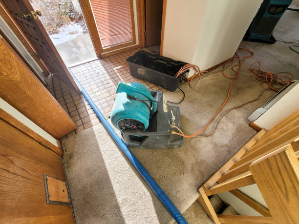 Best Water Damage Insurance Claim Assistance in USA